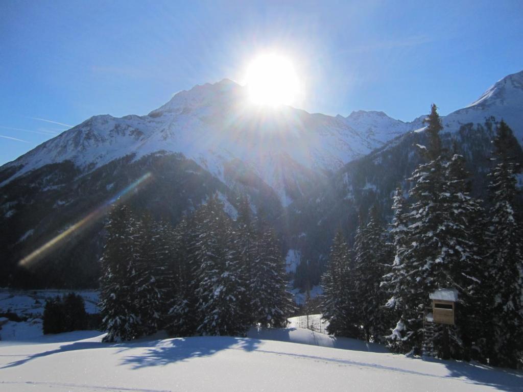 Haus Mattle Leilighet Pettneu am Arlberg Eksteriør bilde