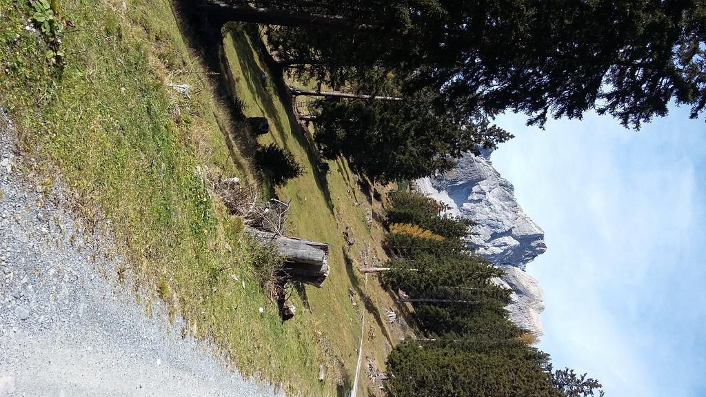 Haus Mattle Leilighet Pettneu am Arlberg Eksteriør bilde